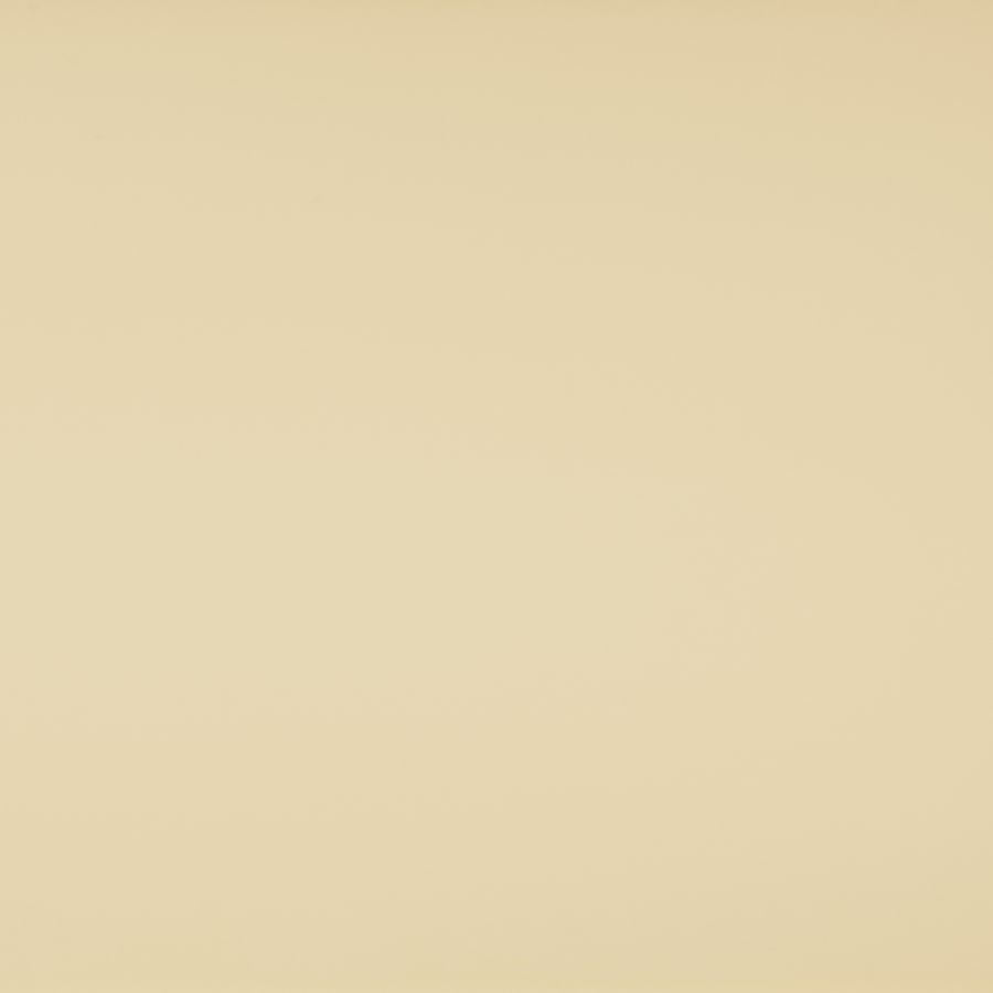 ivory chip