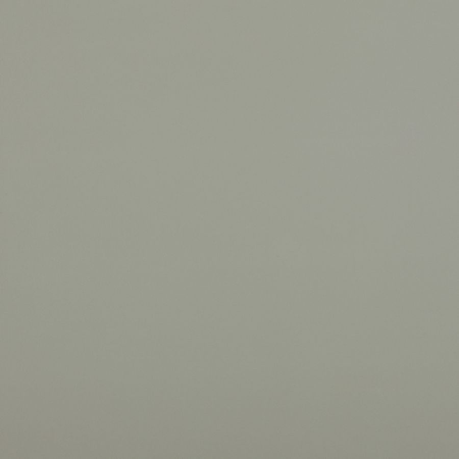 rain cloud chip